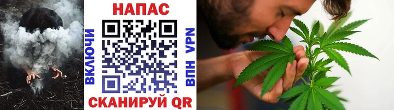 Бошки марихуана AK-47  Цоци-Юрт 